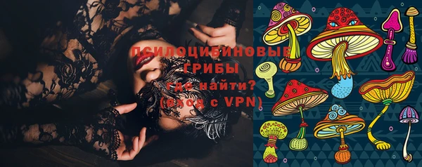 молекула духа Алексин