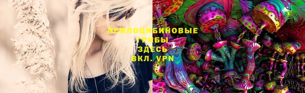 сатива Алексеевка