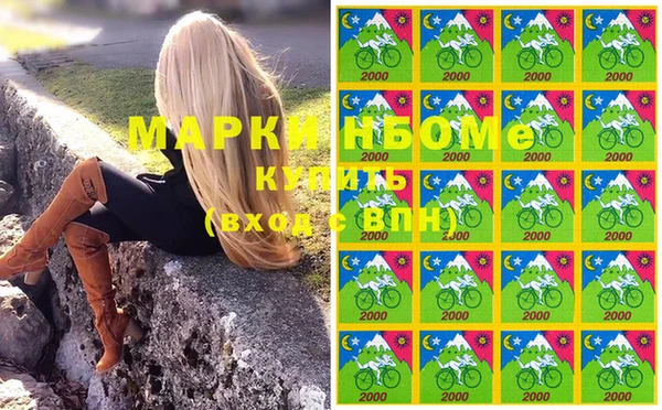 шишки Алзамай