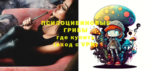 шишки Алзамай