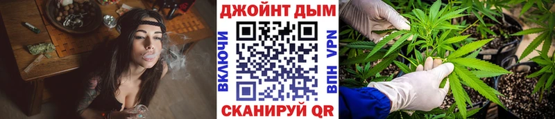 закладка  Снежногорск  МАРИХУАНА ГИДРОПОН 
